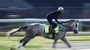 SHOCKING Kentucky Derby 2026 BLOW! Favorite Renegade Draws the CURSED Post Position No One Wanted!